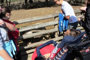 Foto_Skansen_2 (16)