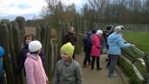 WP_20151120_13_23_25_Pro (640x360)