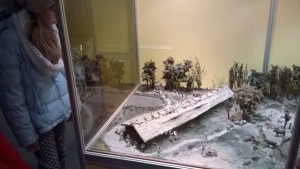 WP_20151120_13_40_22_Pro (640x360)