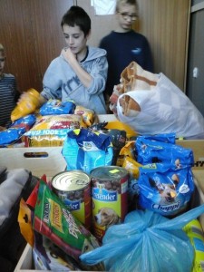 psu na bude 1